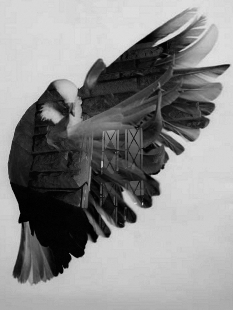 Archillect ID 29934