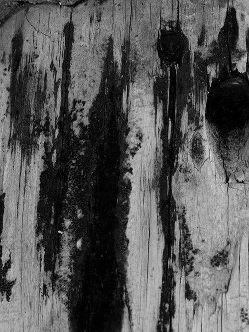 Archillect ID 30002