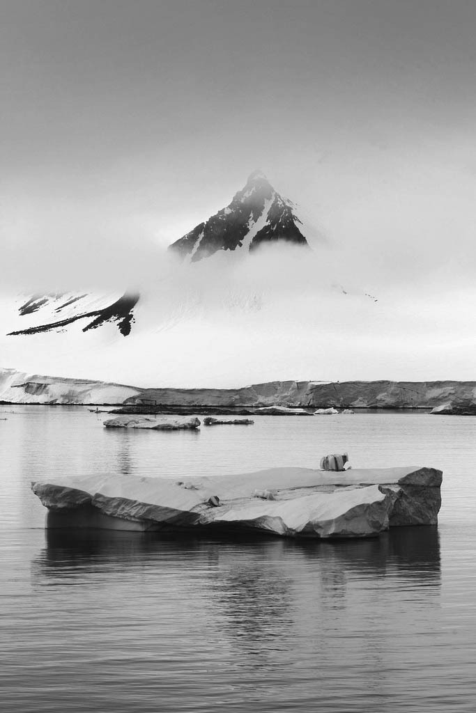 Archillect ID 30010