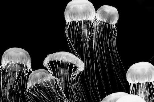 Archillect ID 30155