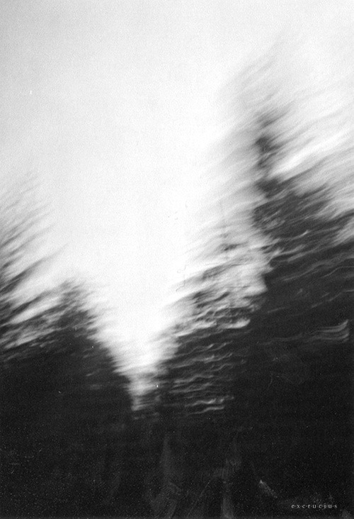 Archillect ID 30213