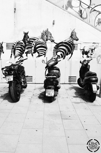 Archillect ID 30294