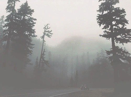 Archillect ID 30367