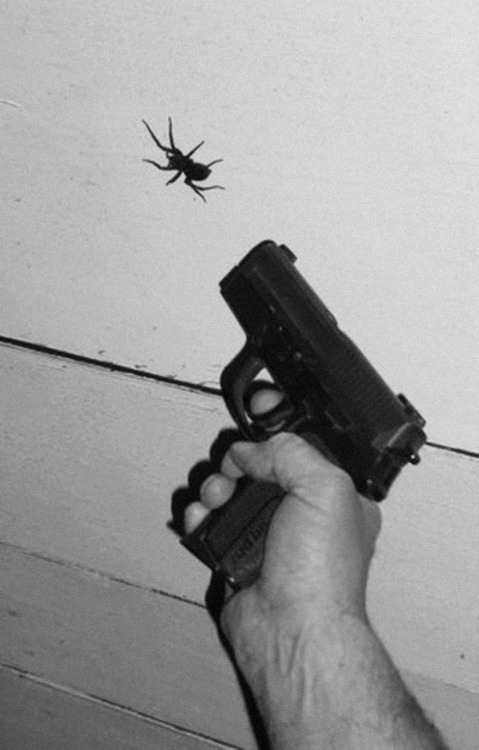 Archillect ID 30405