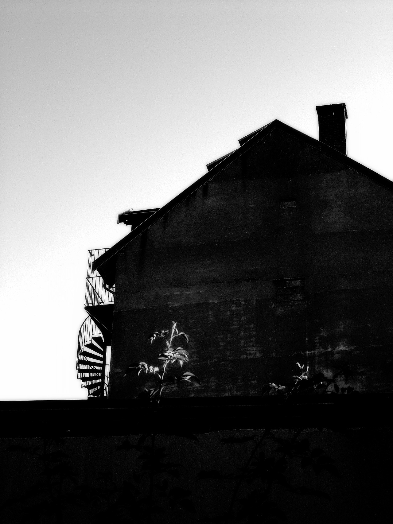 Archillect ID 30413