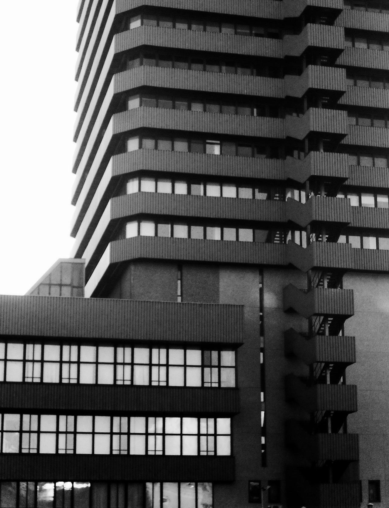 Archillect ID 30420