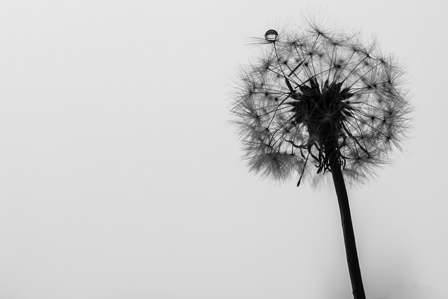 Archillect ID 30422
