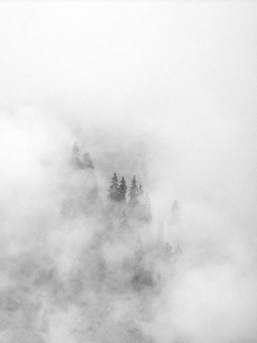 Archillect ID 30472