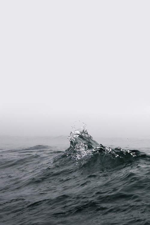 Archillect ID 30516