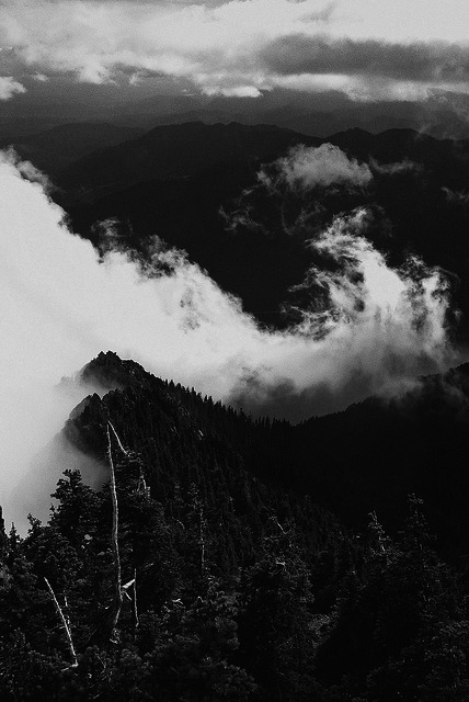 Archillect ID 30528