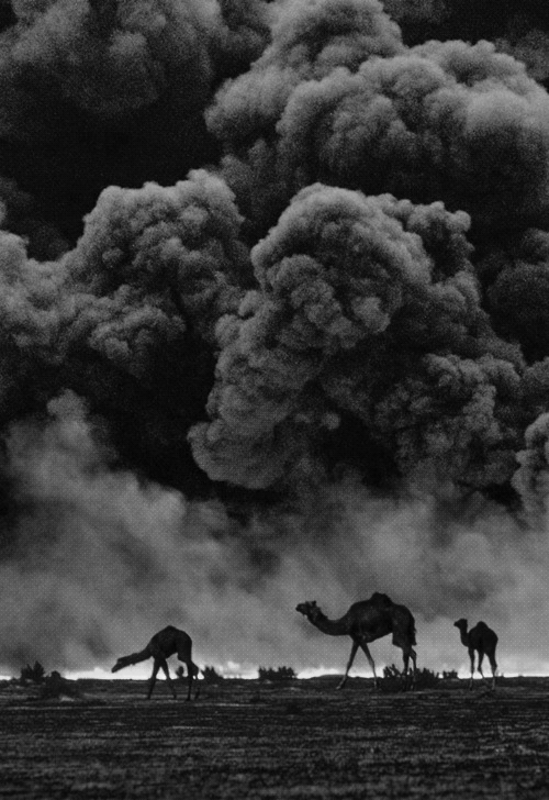 Archillect ID 30565