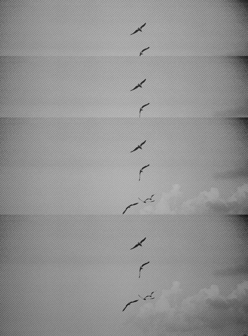 Archillect ID 30680