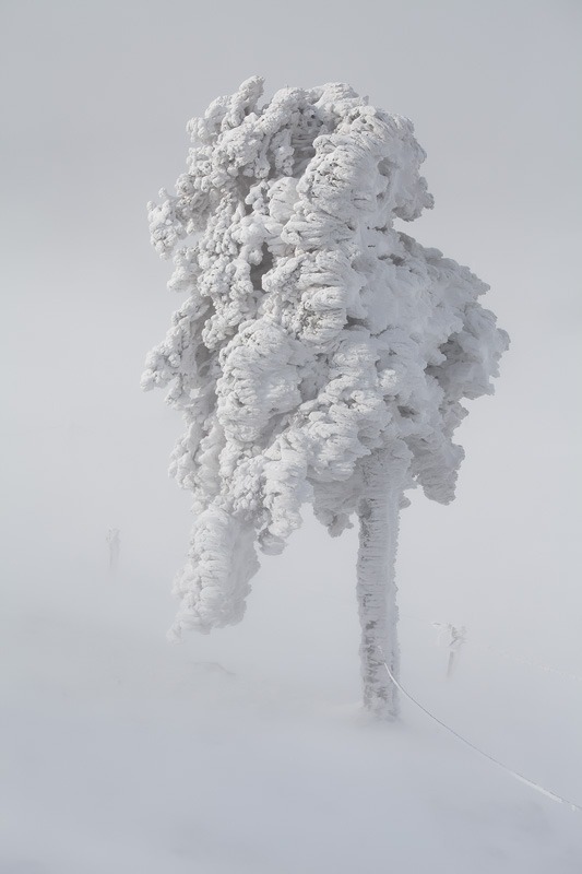 Archillect ID 30692