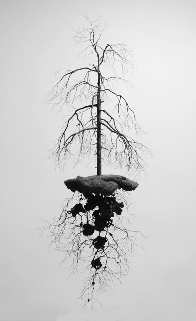 Archillect ID 30733