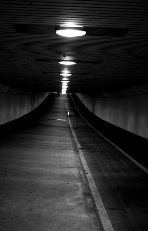 Archillect ID 30869