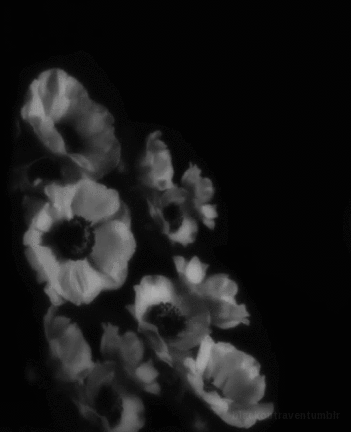 Archillect ID 30874