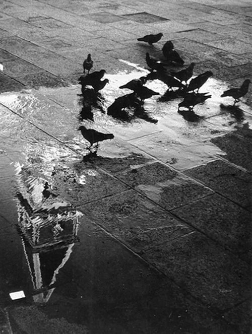 Archillect ID 30957