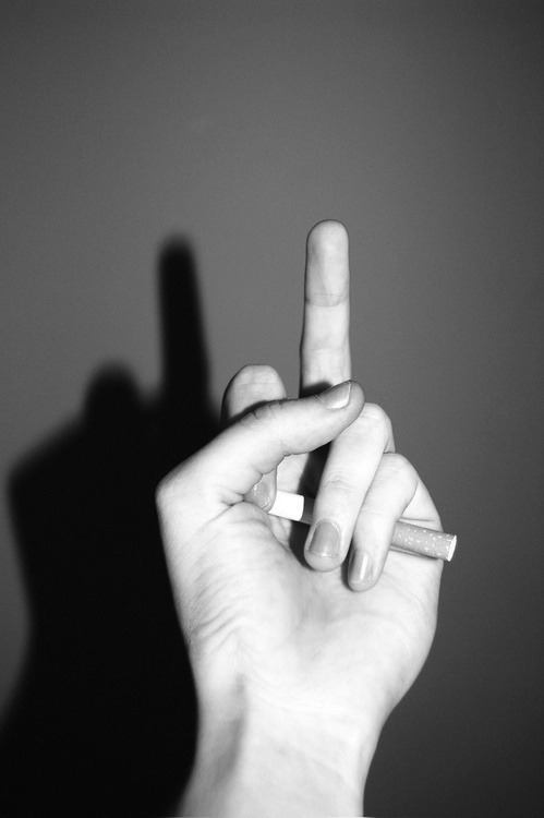 Archillect ID 31035