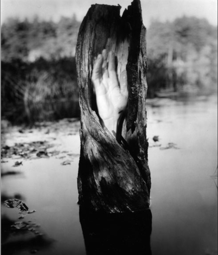 Archillect ID 31127