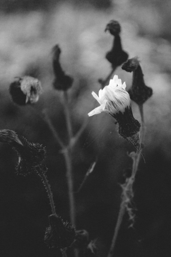 Archillect ID 31131