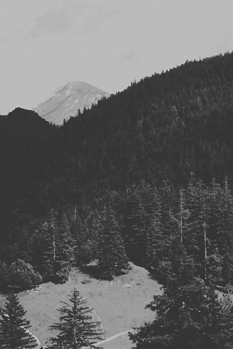 Archillect ID 31169