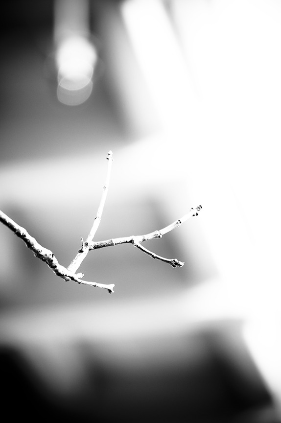 Archillect ID 31215