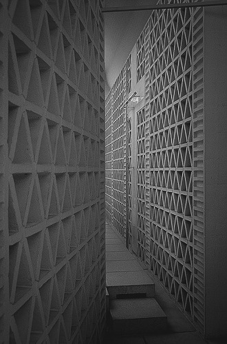 Archillect ID 31244