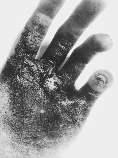 Archillect ID 31341