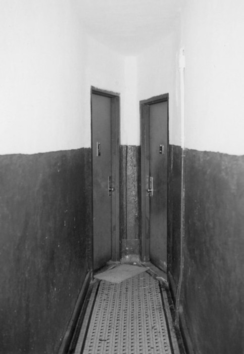Archillect ID 31437