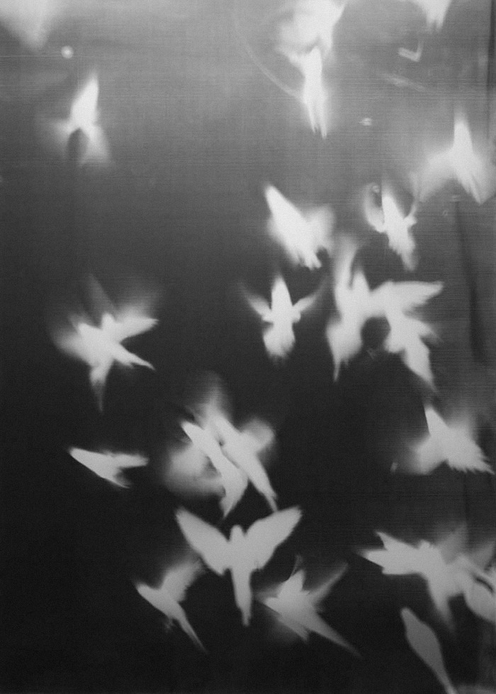 Archillect ID 31476