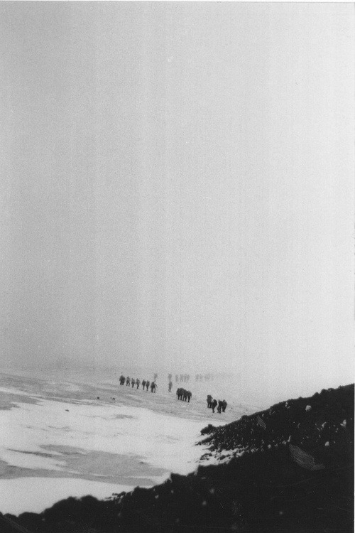 Archillect ID 31514