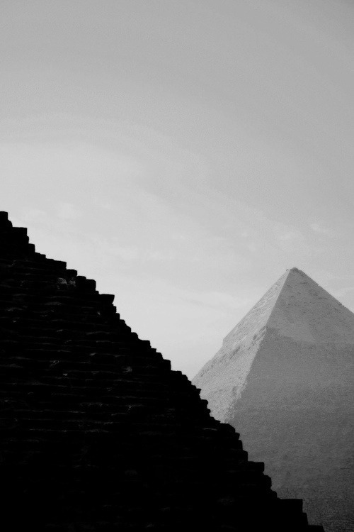 Archillect ID 31564