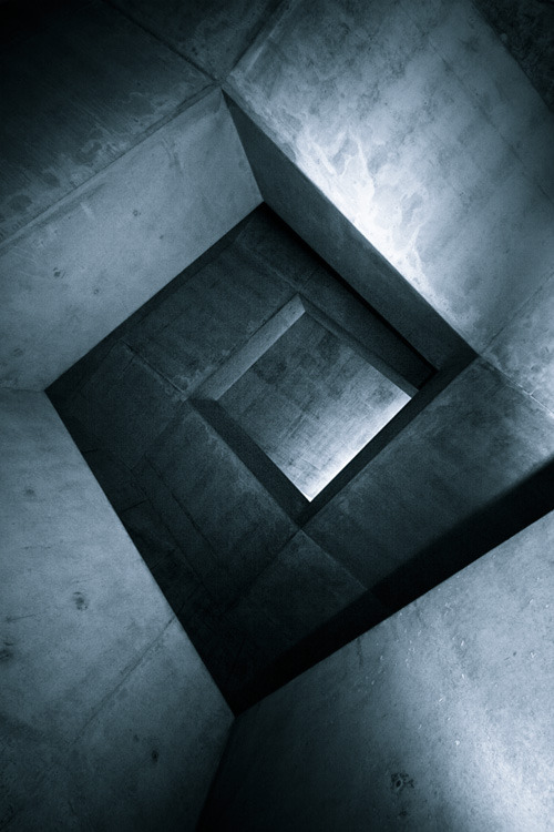 Archillect ID 31572