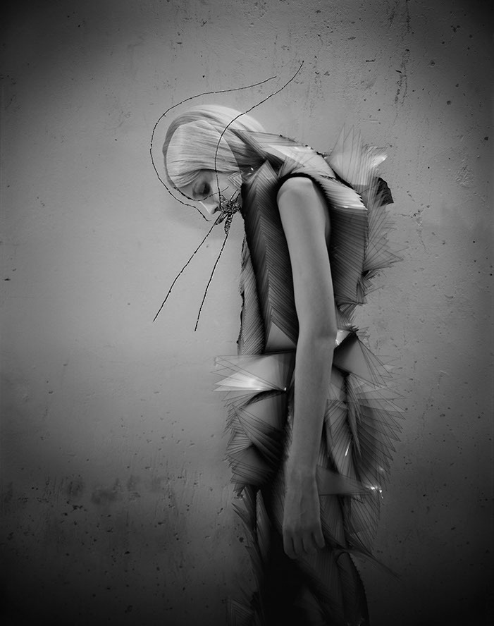 Archillect ID 31666