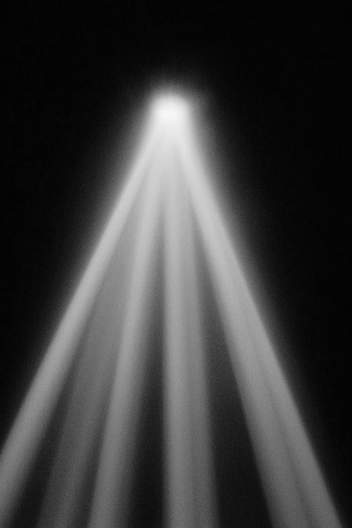 Archillect ID 31677