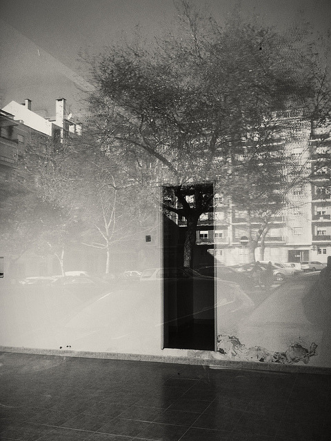 Archillect ID 31719
