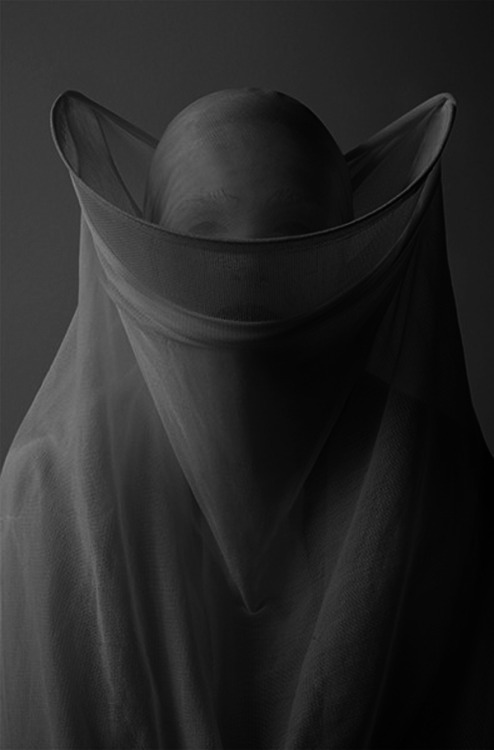 Archillect ID 31765