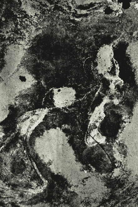 Archillect ID 31768