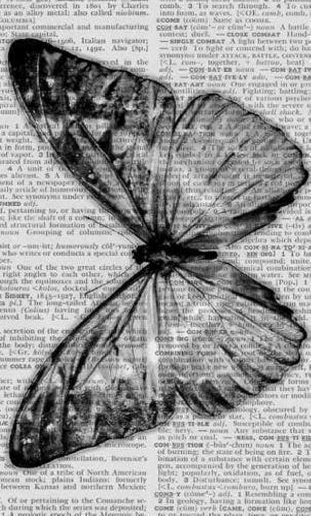 Archillect ID 31787