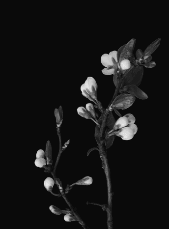 Archillect ID 31795