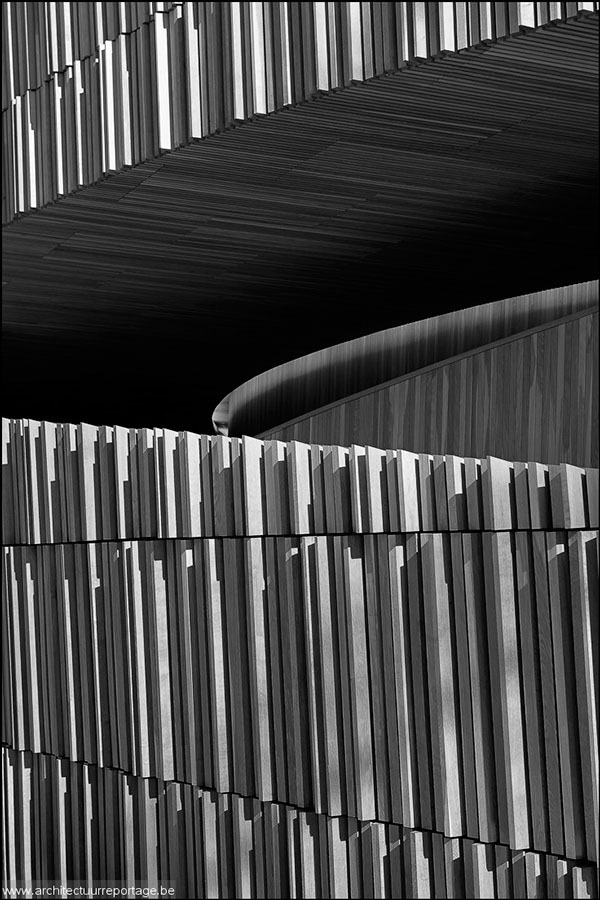 Archillect ID 31799
