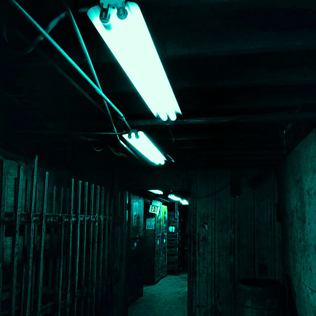 Archillect ID 31800