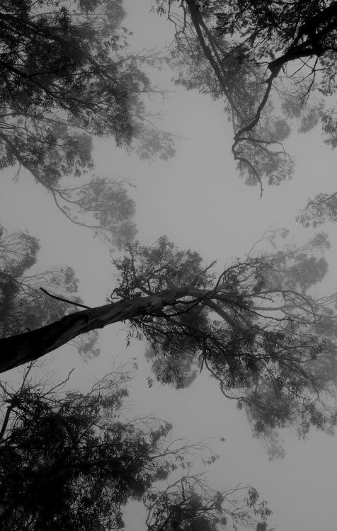 Archillect ID 31818