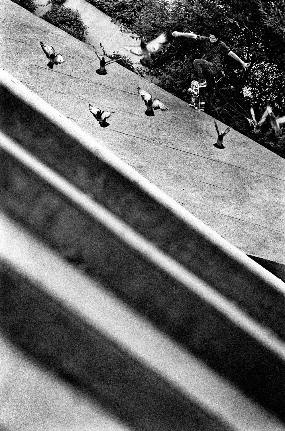 Archillect ID 31849