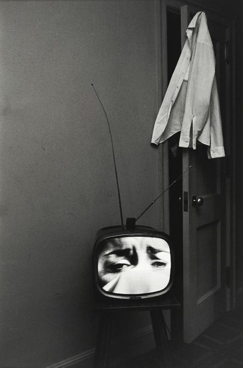 Archillect ID 31882