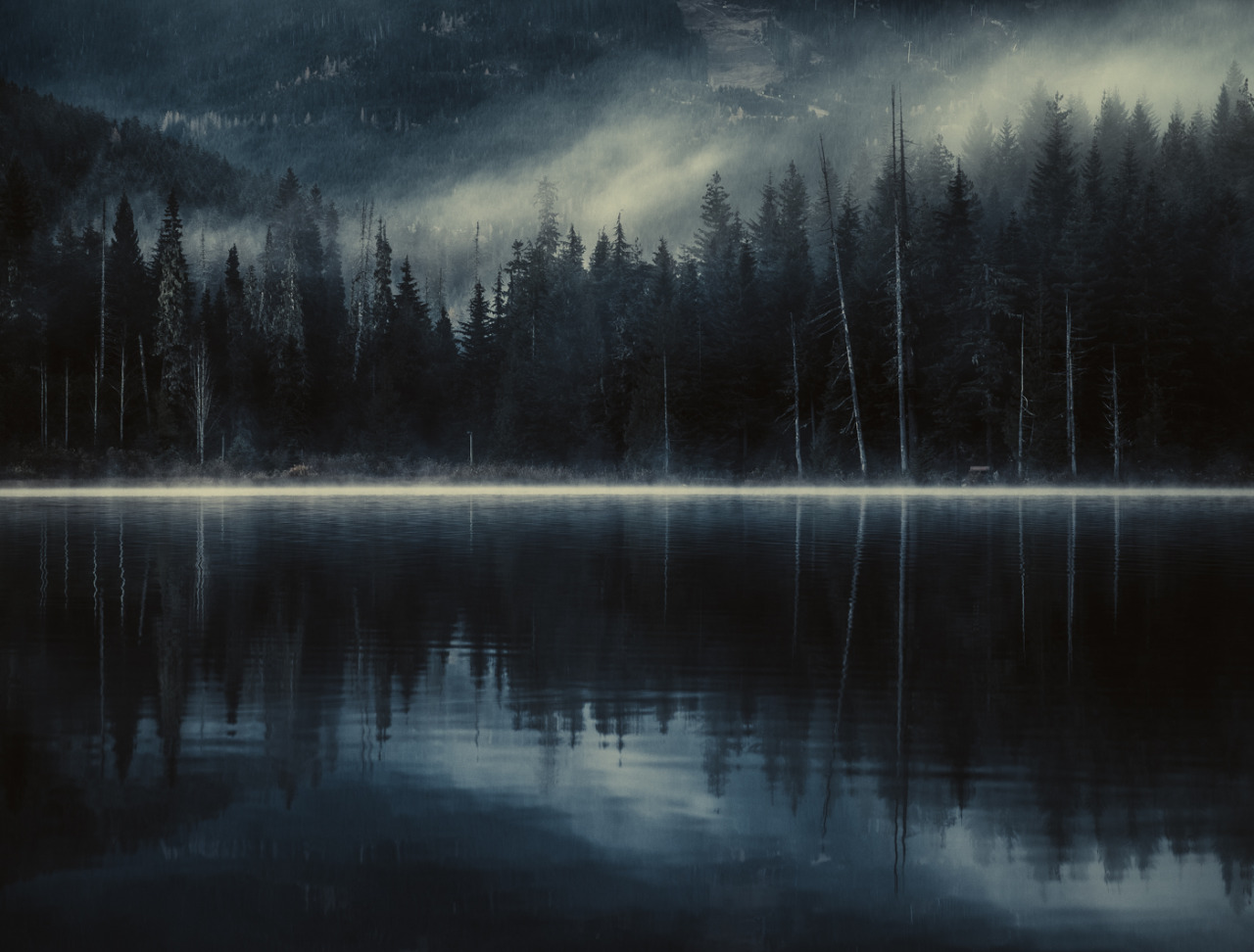 Archillect ID 31888