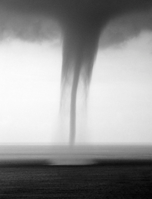 Archillect ID 31898