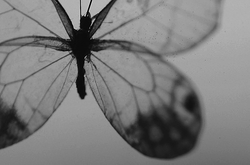 Archillect ID 31912