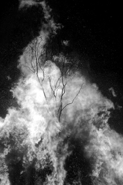 Archillect ID 31948