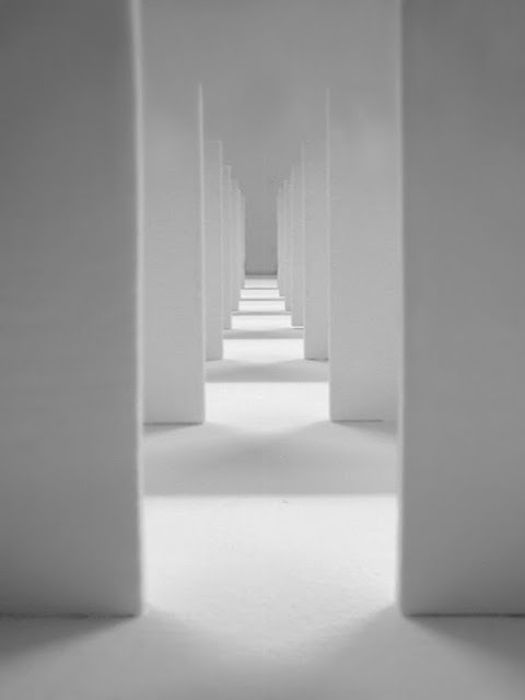 Archillect ID 31955